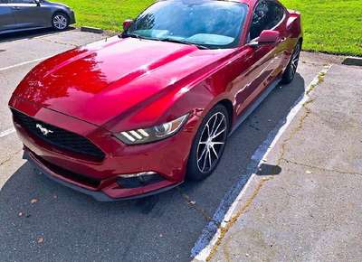 2015 Ford Mustang - EcoBoost Coupe 2D