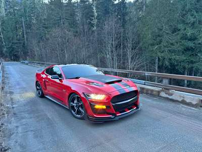 2016 Ford Mustang - GT Coupe 2D