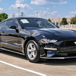 2021 Ford Mustang EcoBoost \ud83e\udd18 38641 Miles