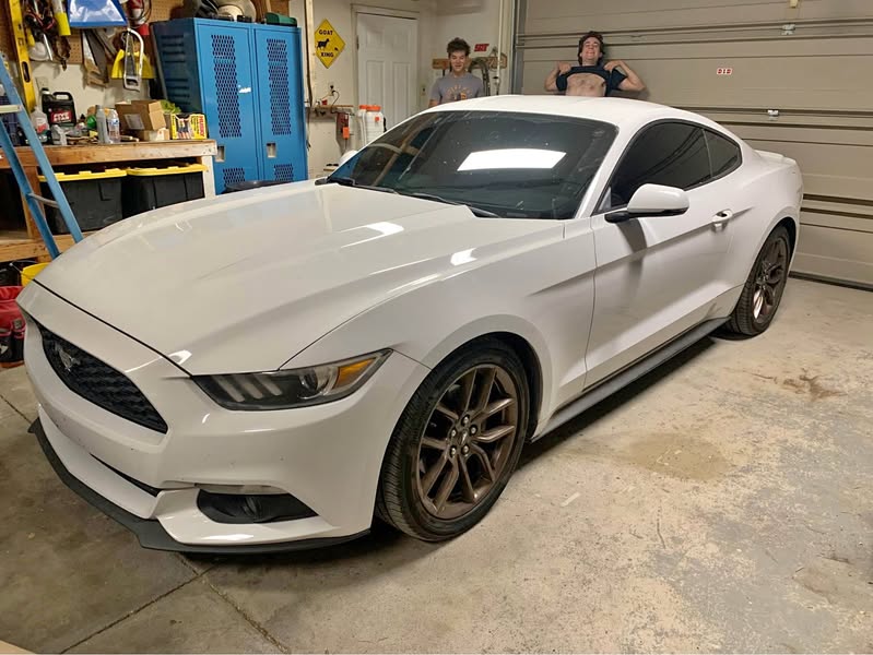2017 Ford Mustang - EcoBoost Coupe 2D