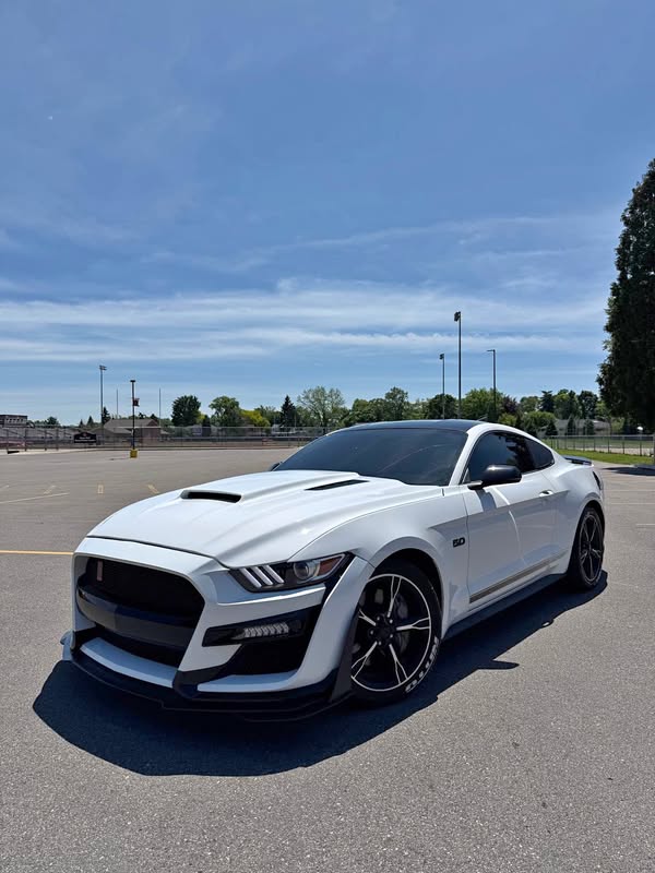 2017 Ford Mustang - GT