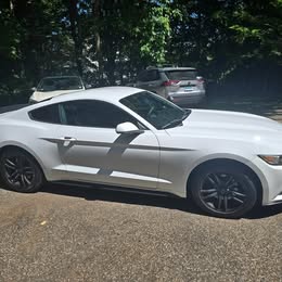 2016 Ford mustang