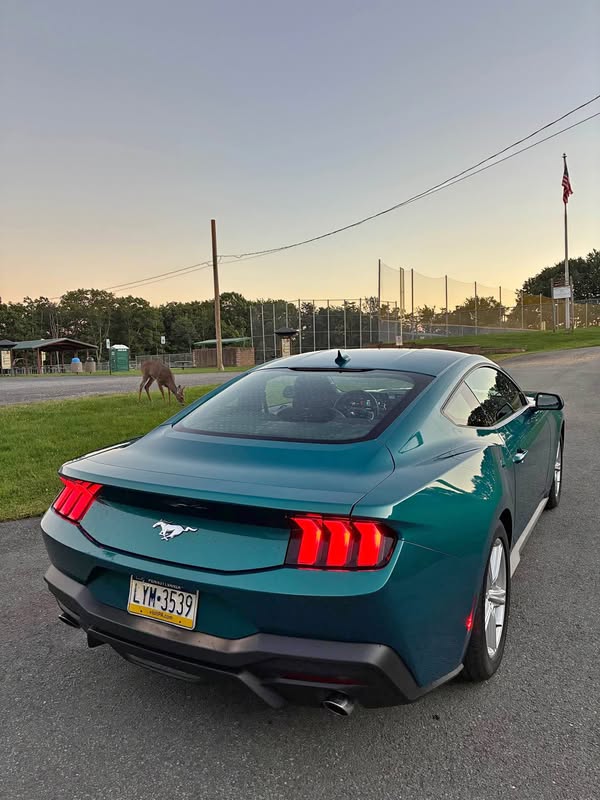 2024 Ford Mustang - EcoBoost Coupe 2D