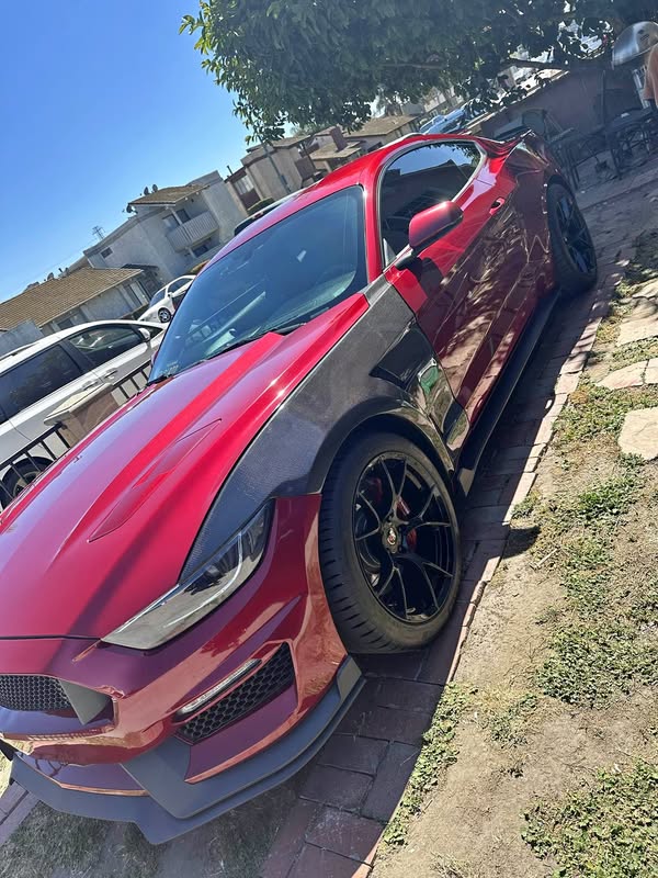 2016 Ford Mustang - GT Premium Coupe 2D