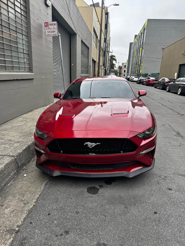 2020 Ford Mustang - GT Coupe 2D