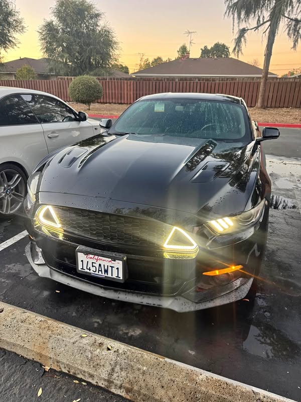 2017 Ford Mustang - GT Coupe 2D