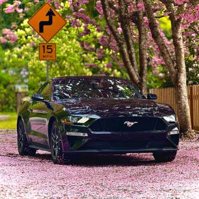 2022 Ford Mustang - EcoBoost Premium