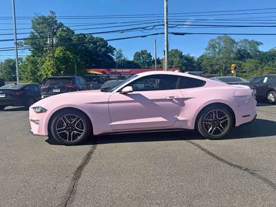2022 Ford Mustang - Eco