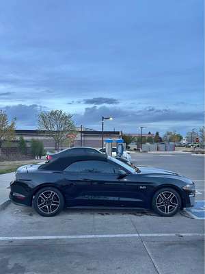 2020 Ford Mustang - GT Convertible 2D