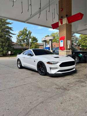 2019 Ford Mustang - GT