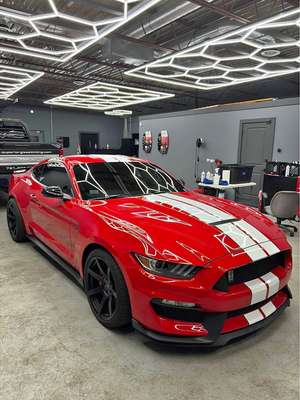 2016 Ford Mustang - Shelby GT350 Coupe 2D