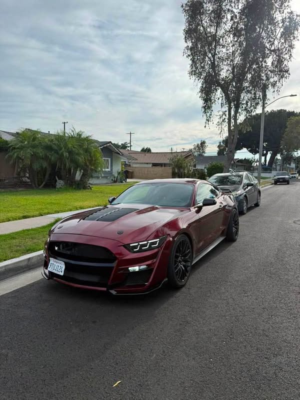 2015 Ford Mustang - Performance Gt