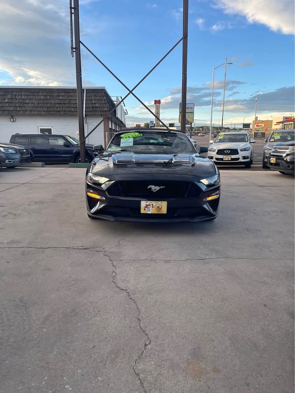 2019 Ford Mustang - GT Convertible 2D