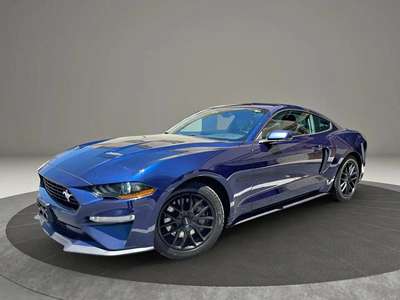 2019 Ford Mustang -  GT PREMIUM COUPE 2D