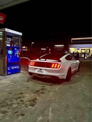2017 Ford Mustang - GT Premium Coupe 2D
