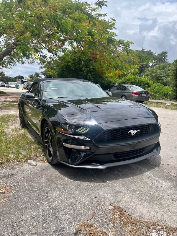 2018 Ford Mustang - Eco boost convertible