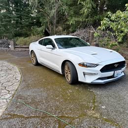 2021 Ford Mustang - EcoBoost Premium Coupe 2D