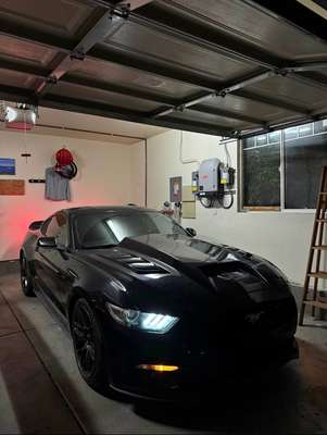 2015 Ford Mustang - Coupe 2D