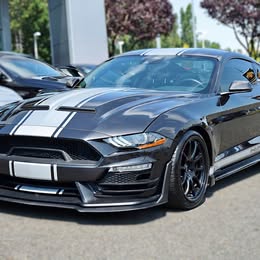 2023 Ford mustang \ud83e\udd18