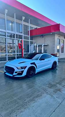 2016 Ford Mustang - GT Premium Coupe 2D