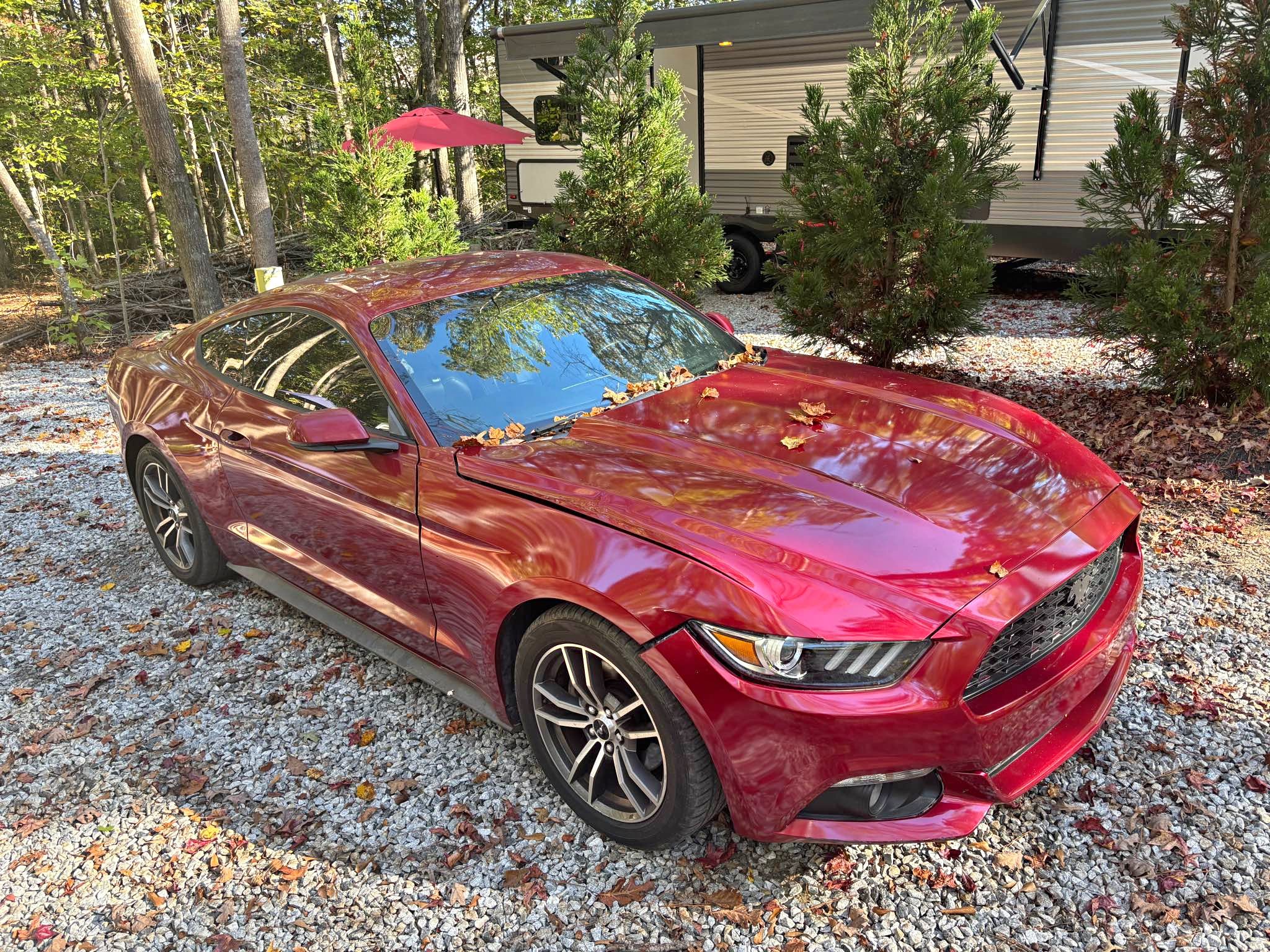 2017 Ford Mustang - EcoBoost Premium Coupe 2D