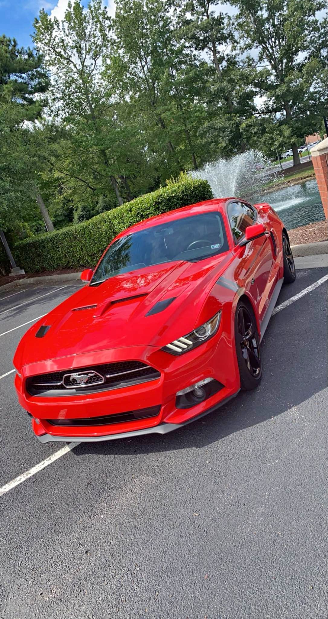 2015 Ford Mustang - GT 50 Years Limited Edition Coupe 2D
