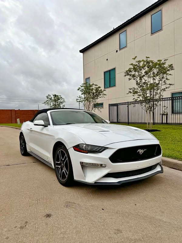 2019 Ford Mustang - EcoBoost Premium Convertible 2D
