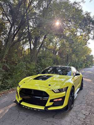 2021 Ford Mustang - Shelby GT500 Cobra Coupe 2D