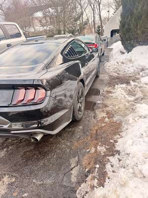 2019 Ford Mustang - EcoBoost Premium Convertible 2D