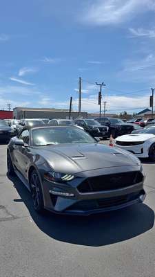 2019 Ford Mustang - GT