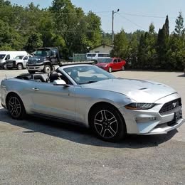 2019 Ford Mustang \