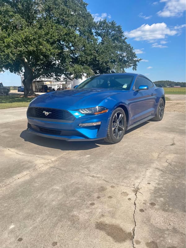 2018 Ford Mustang - EcoBoost Coupe 2D