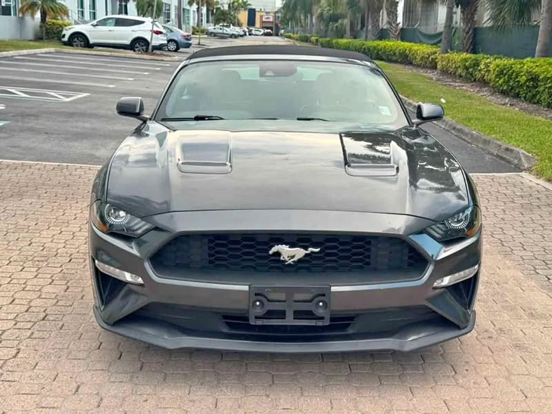 2019 Ford Mustang - EcoBoost Premium Convertible 2D