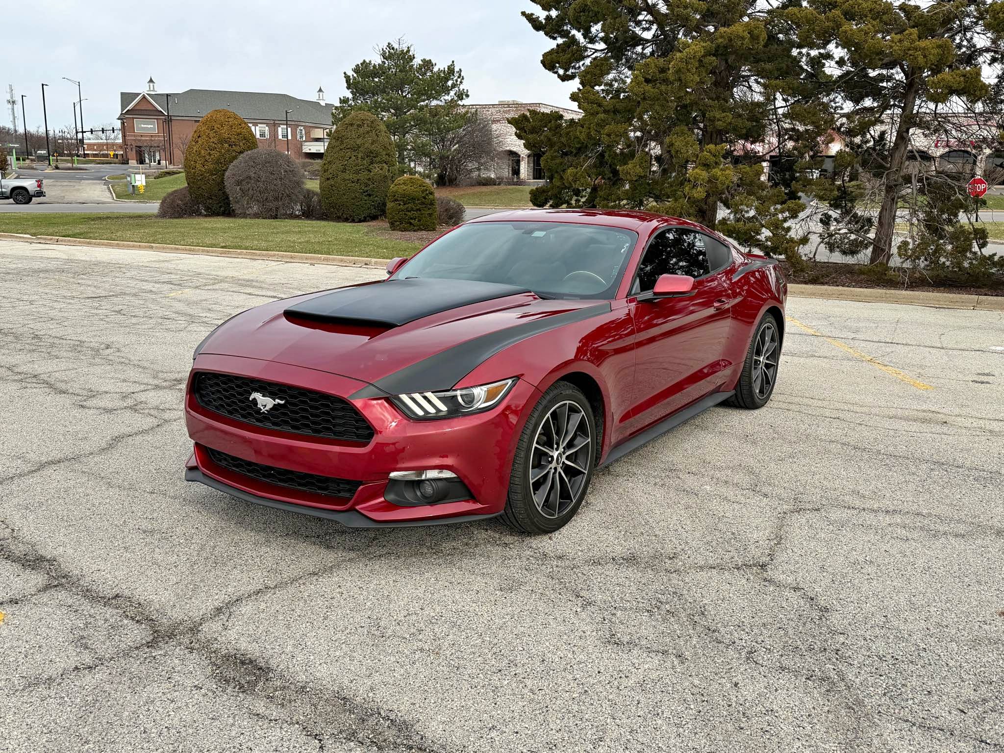 2017 Ford Mustang - EcoBoost Coupe 2D