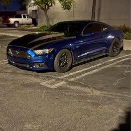 2016 Ford Mustang - GT Premium Coupe 2D