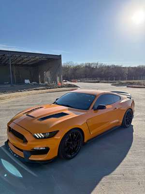 2019 Ford Mustang - GT350