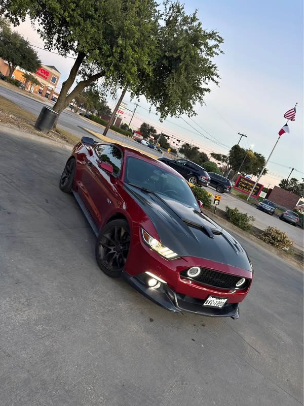 2015 Ford Mustang - GT Coupe 2D