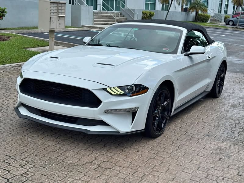 2019 Ford Mustang