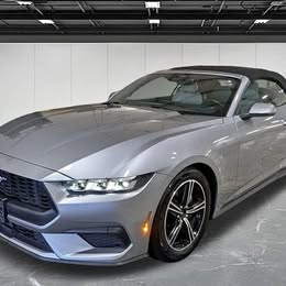 2024 Ford Mustang EcoBoost Premium \ud83e\udd18 49703 Miles