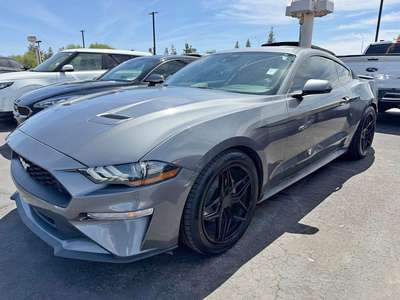 2022 Ford Mustang - EcoBoost Coupe 2D