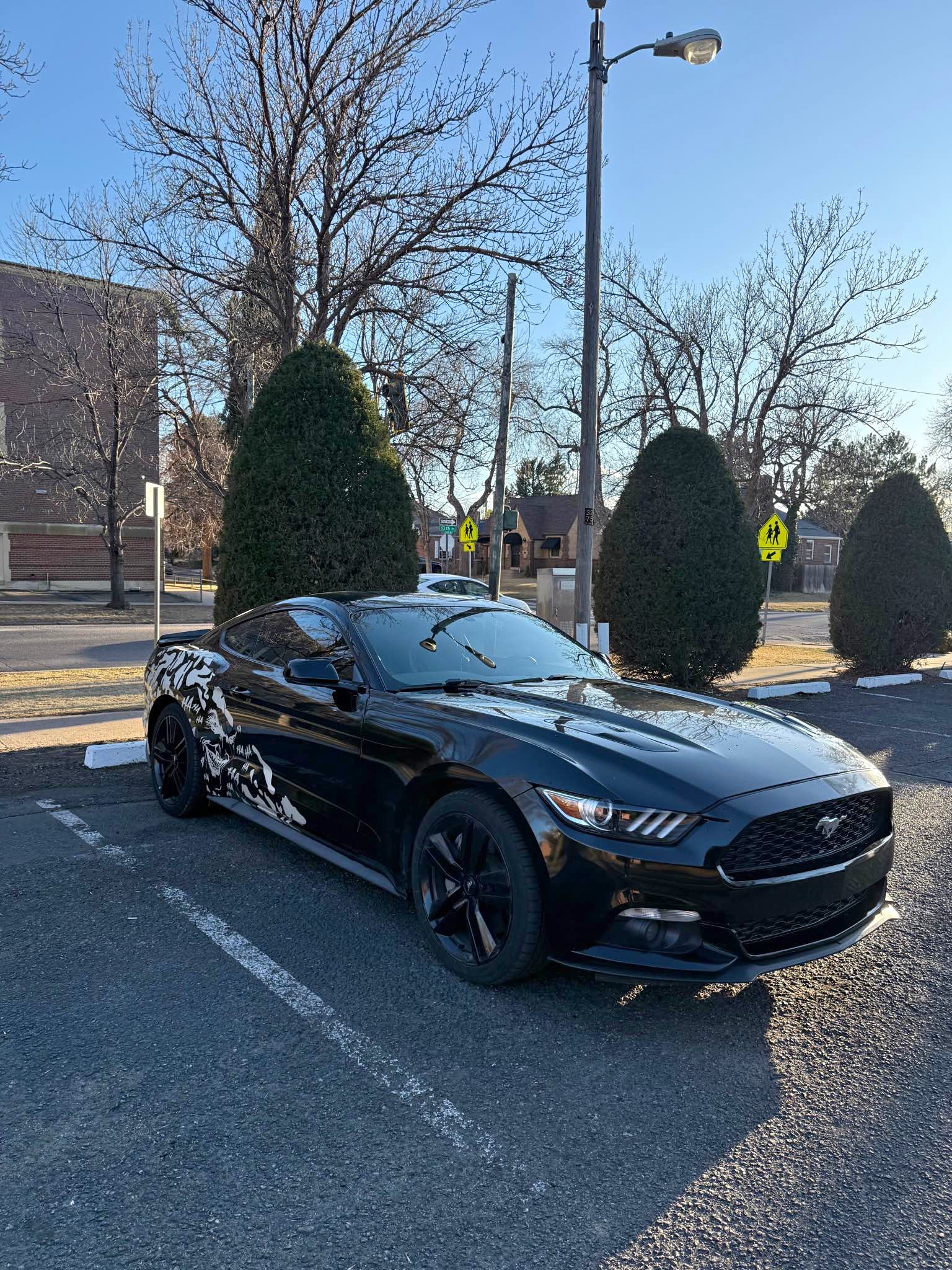 2016 Ford Mustang - EcoBoost Premium Coupe 2D