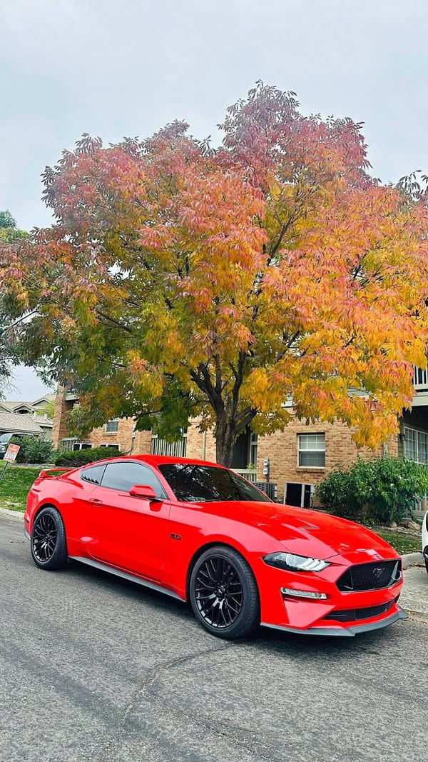 2022 Ford Mustang - GT Coupe 2D