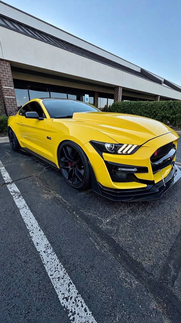2015 Ford Mustang - Premium Coupe 2D
