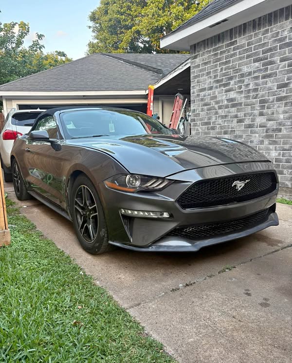 2019 Ford Mustang - EcoBoost Premium Convertible 2D