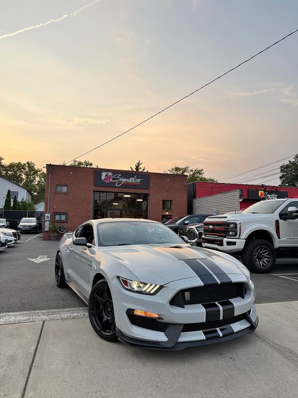 2017 Ford Mustang - Shelby GT350 Coupe 2D