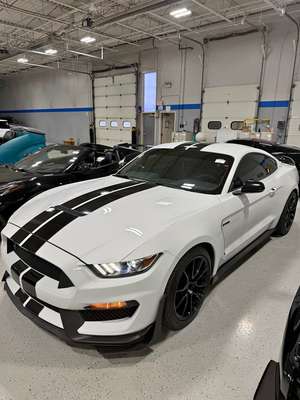 2019 Ford Mustang - Shelby GT350 Coupe 2D