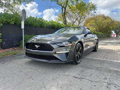 2020 Ford Mustang - EcoBoost Coupe 2D