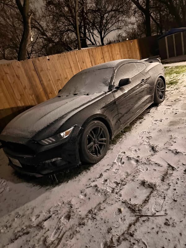 2015 Ford Mustang - V6
