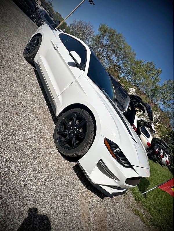 2019 Ford Mustang - Premium Coupe 2D