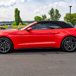 2019 Ford Mustang EcoBoost Premium Call Ralph [hidden information] \ud83e\udd18 63011 Miles